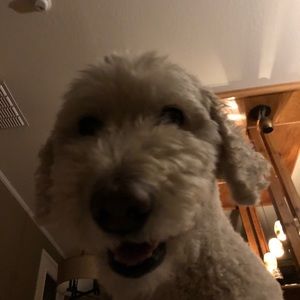 Meet your Posher, Lori